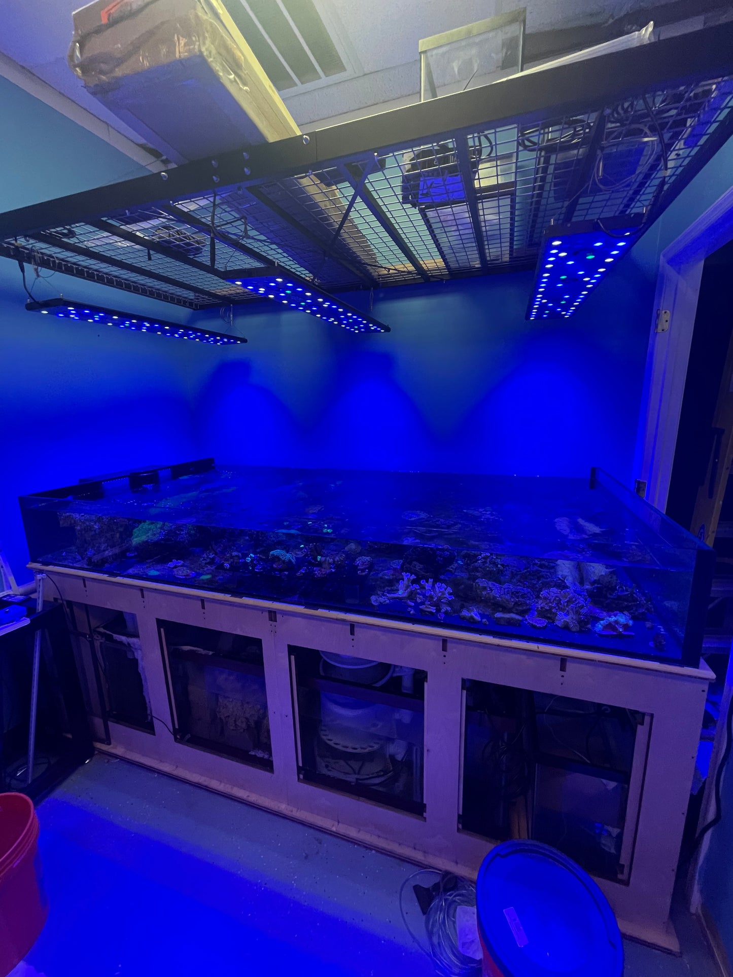 USED - #1 Custom Coral Table 4'x8'ft, and Stand