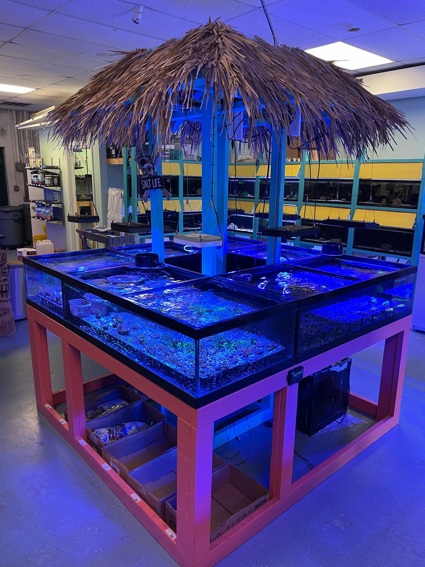 USED- #1 Custom Coral Station 6'x6'ft, and Stand (Bundled Add on Items Listed)