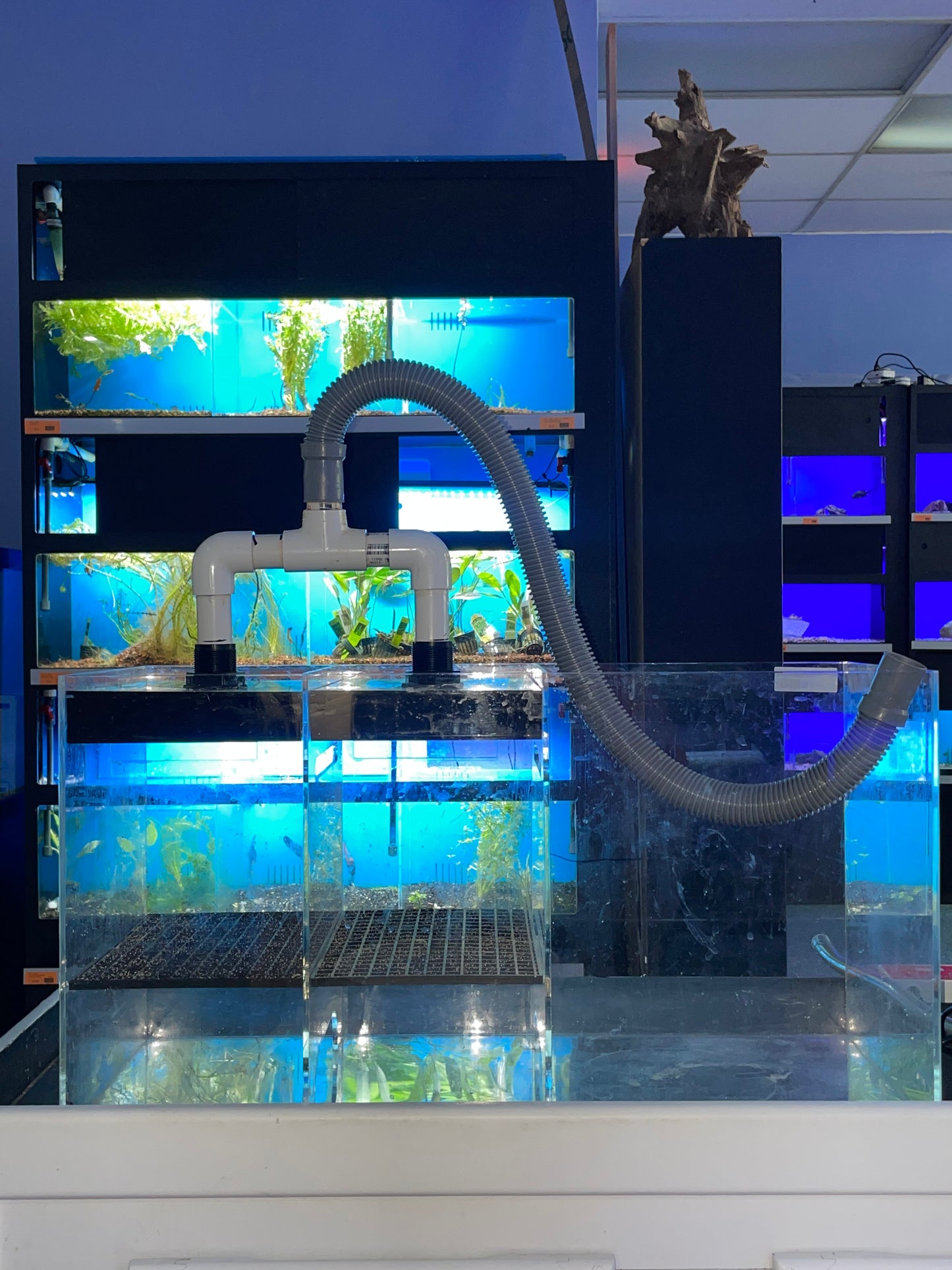Used Dual Intake Acrylic Sump
