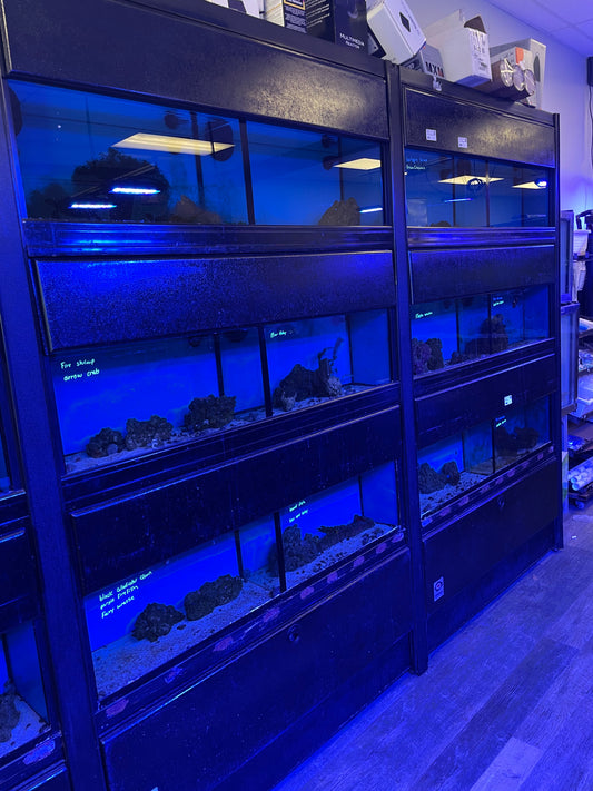 USED- Marineland Double Fish Wall (6 units)