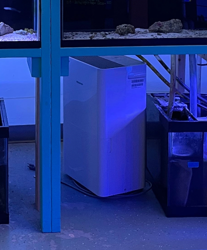 Portable Dehumidifier
