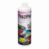PraziPro Parasite Treatment 1oz