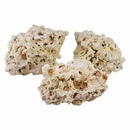 South Sea Base Rock .10/Lb