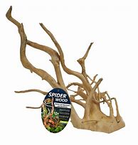 Spider Wood Medium