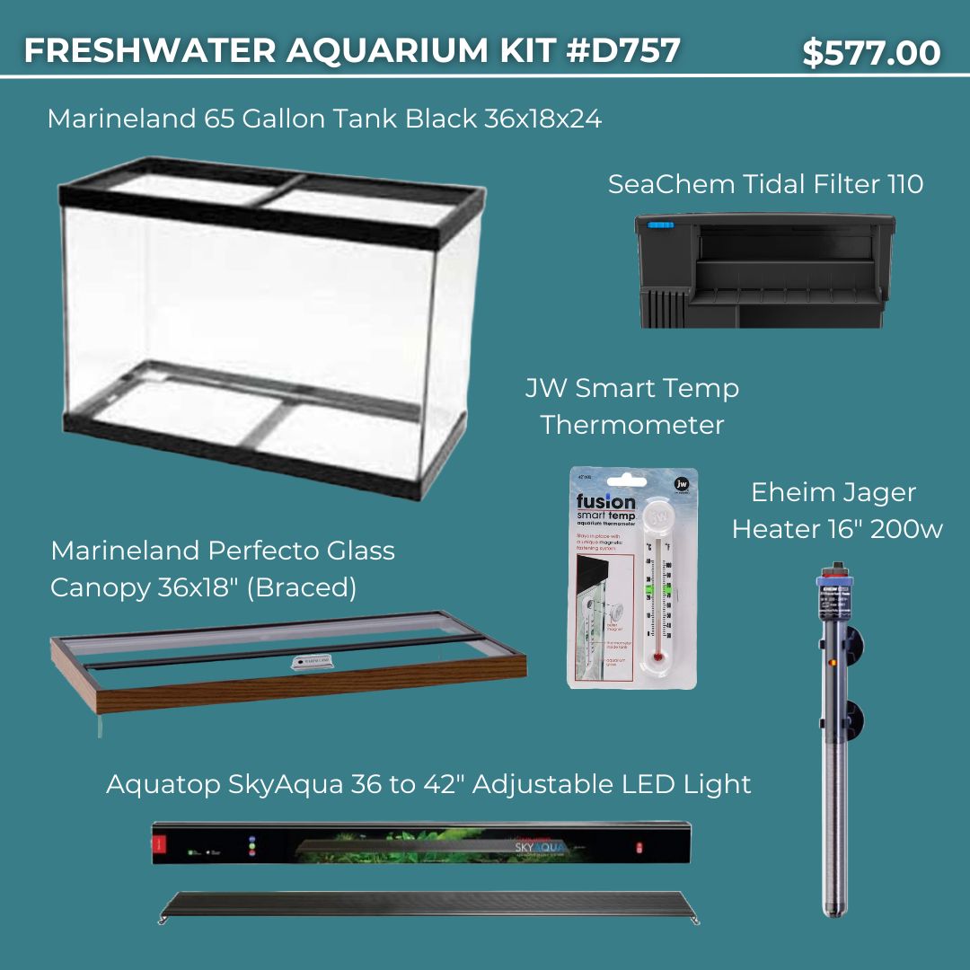 Freshwater Aquarium Kit #D757