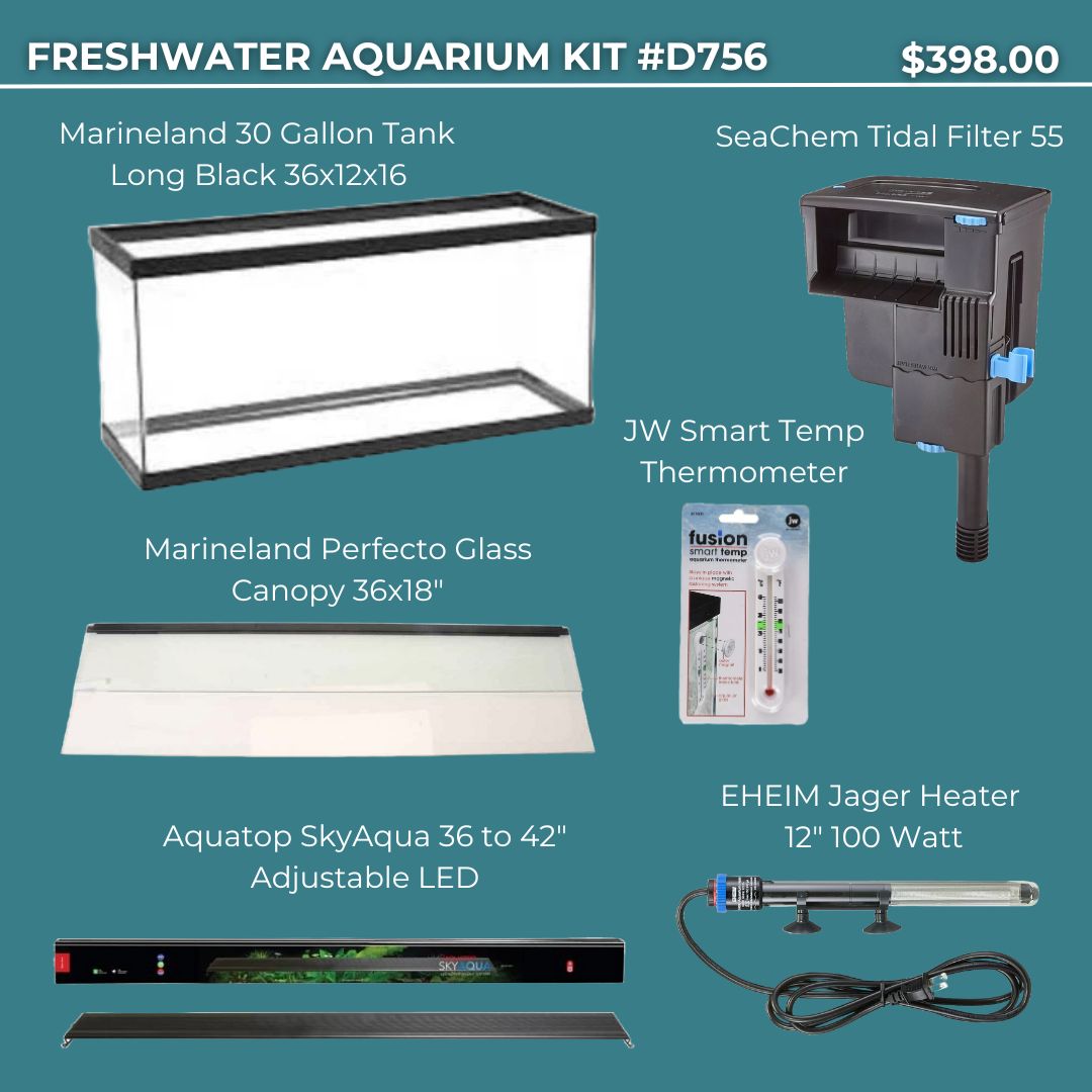 Freshwater Aquarium Kit #D756