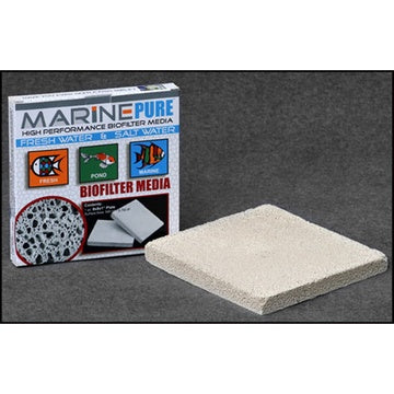 Marine Pure 8x8x1-8x8x1