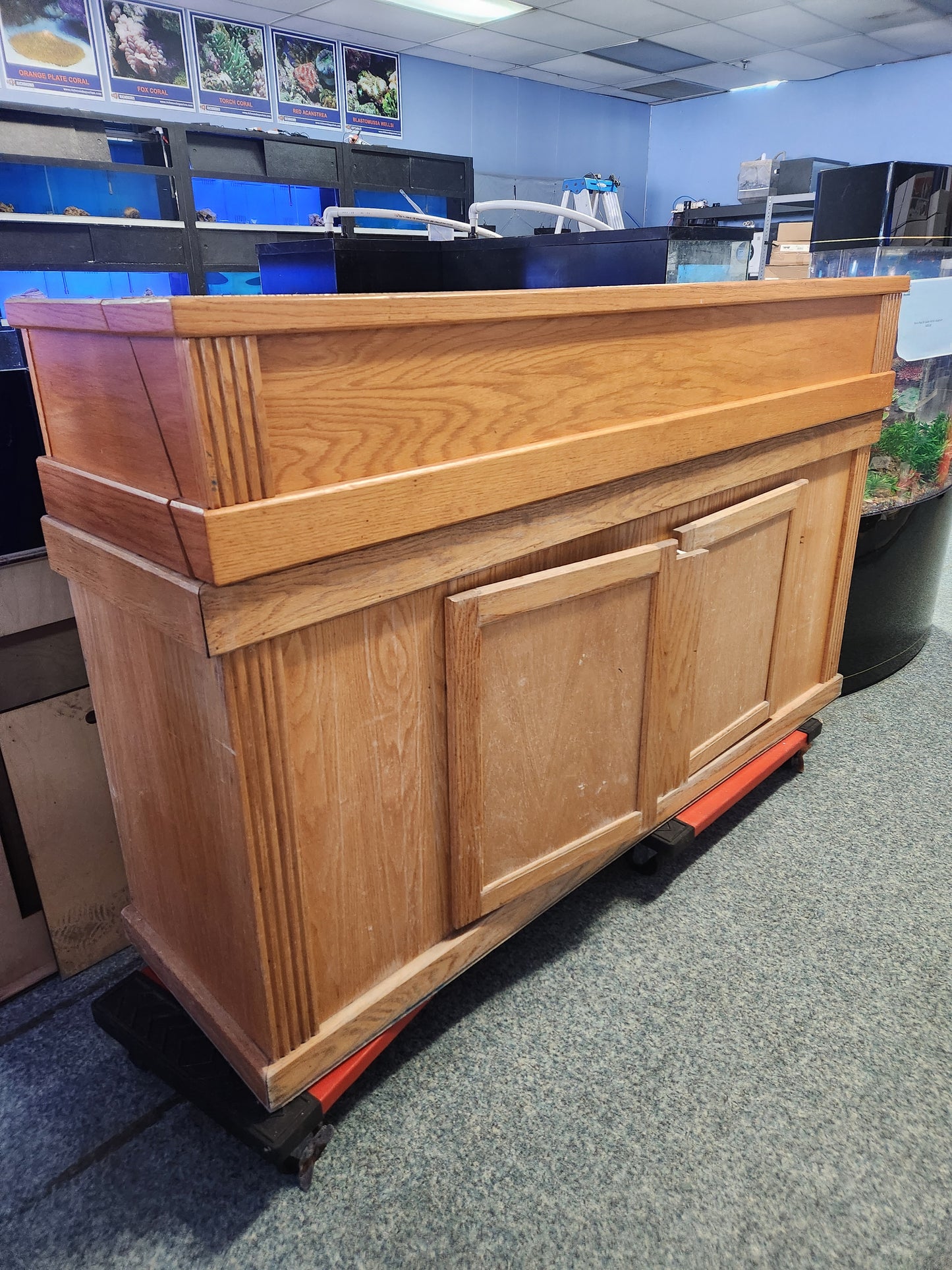 Used Oak 72X18 Stand and Canopy