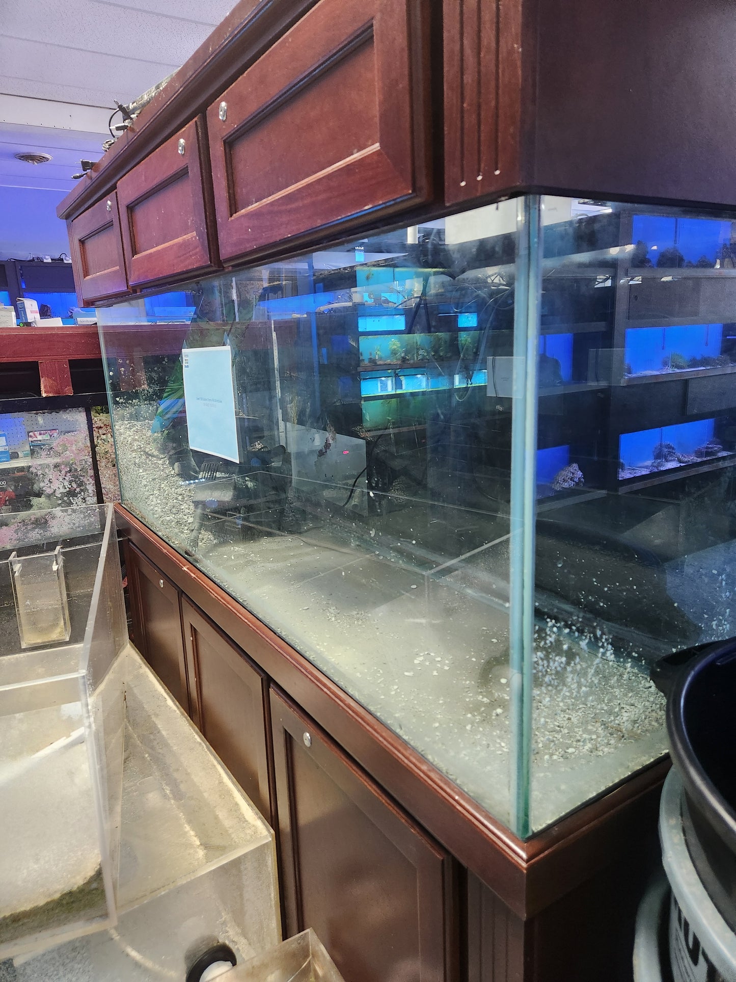 Used 150 Gallon Cherry Freshwater