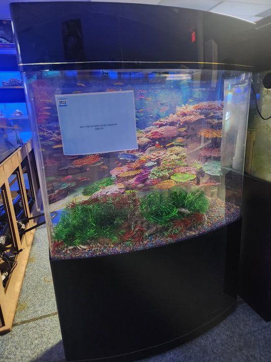 Penn-Plax 58 Gallon Acrylic Aquarium