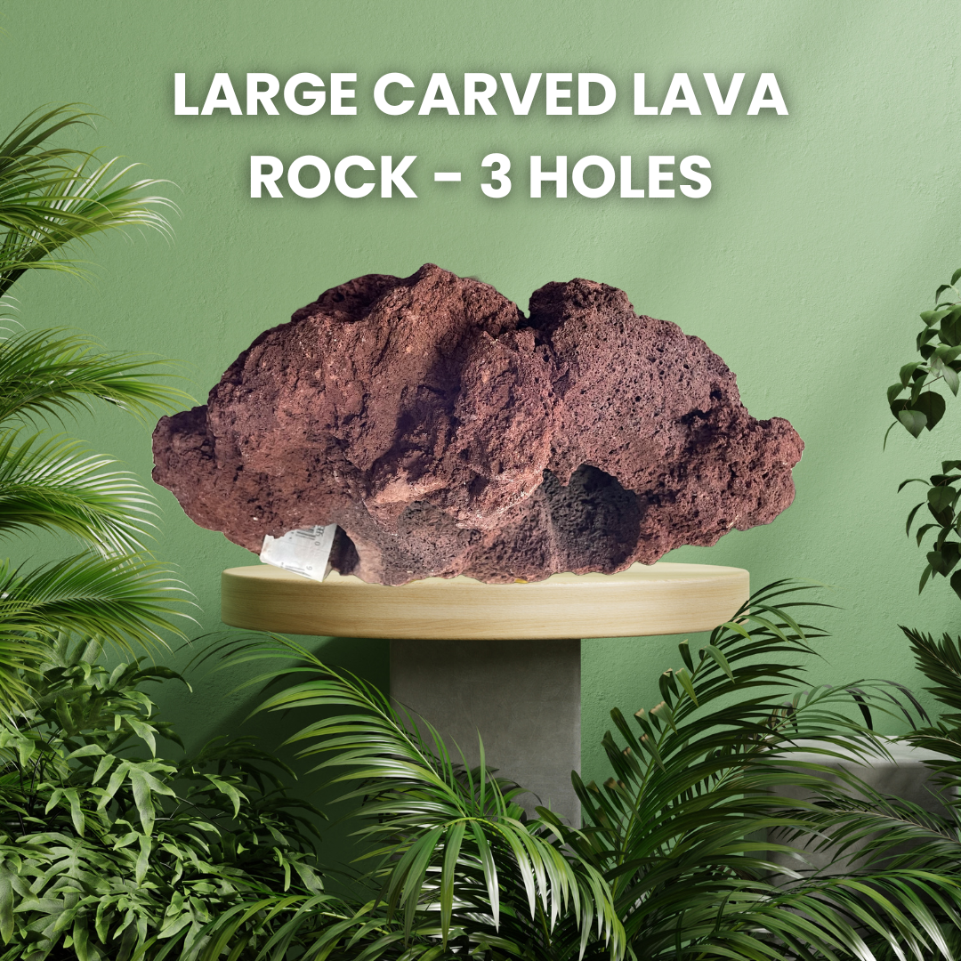 FS Carved Lava Rock 3 Hole Lg Each