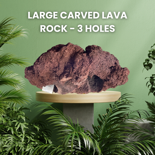 FS Carved Lava Rock 3 Hole Lg Each