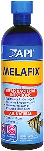 API Melafix Liquid Remedy 16oz.