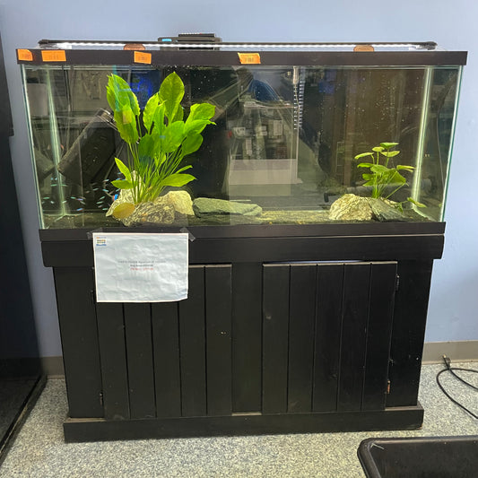 Used 55 Gallon Aquarium System