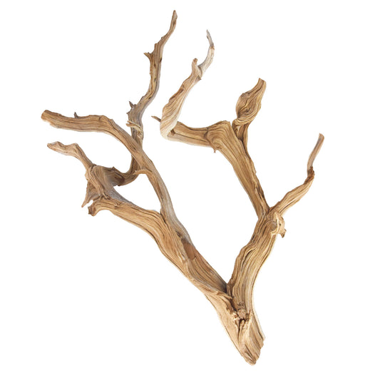 UT Ghostwood 18-24"