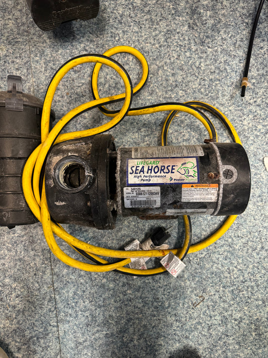 USED - Lifeguard Seahorse 1 HP Pump