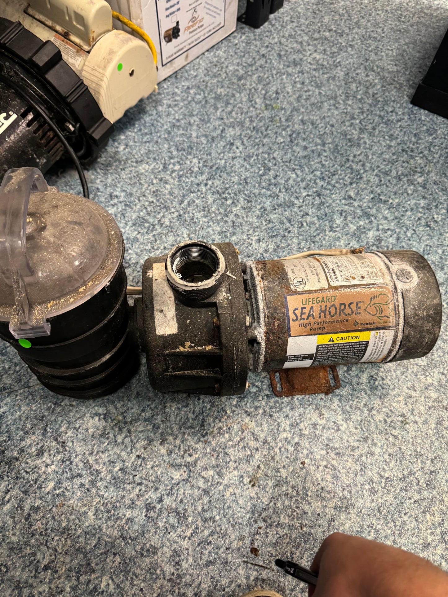 USED- Lifeguard Seahorse 3/4 HP Water Pump