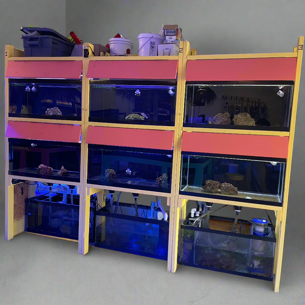 USED- Fish Wall with 6 Units