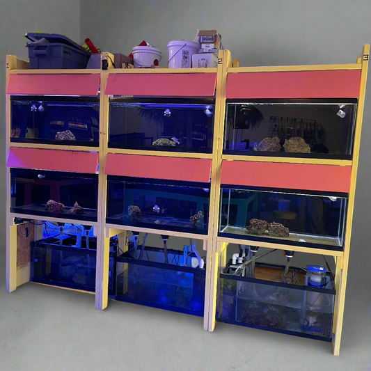 USED- Fish Wall with 6 Units