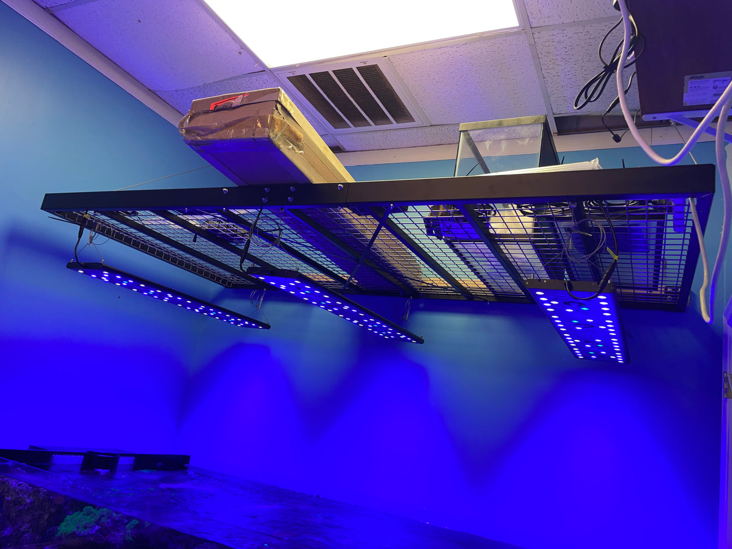 USED- Reef Breeder 48" Lights (set of 3) & Suspension Rack