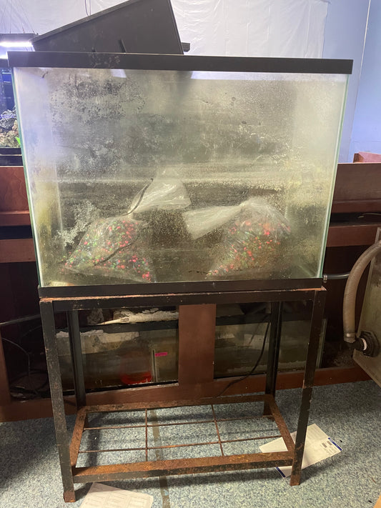 FREE Used 29 Gallon Tank