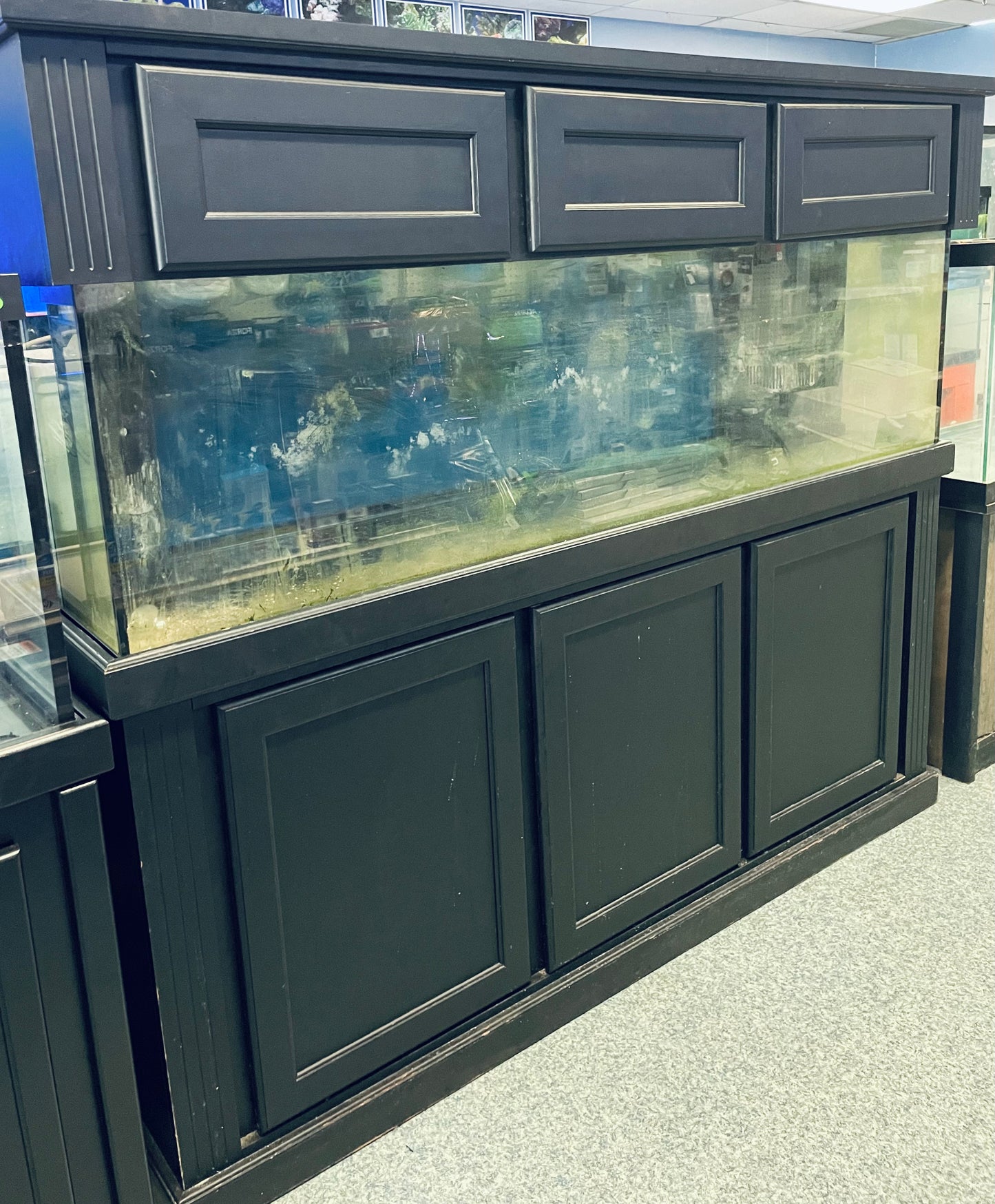 USED - 125 Gallon All Inclusive SW Aquarium (No Lights)