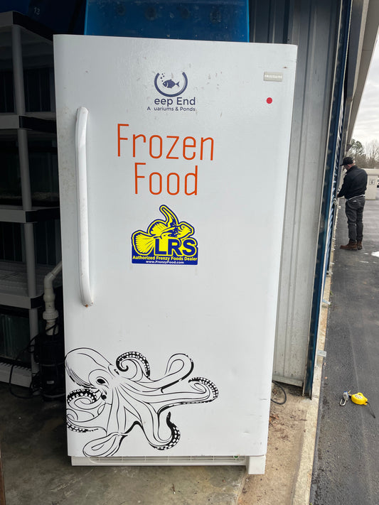FREE USED Lg Freezer/Fridge