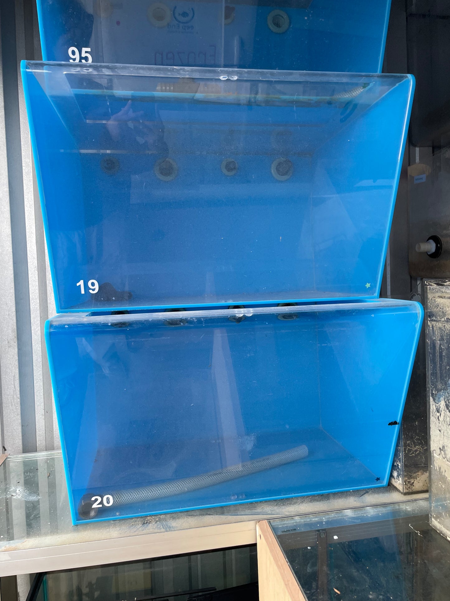 USED - Blue Display Fish & Coral Tanks