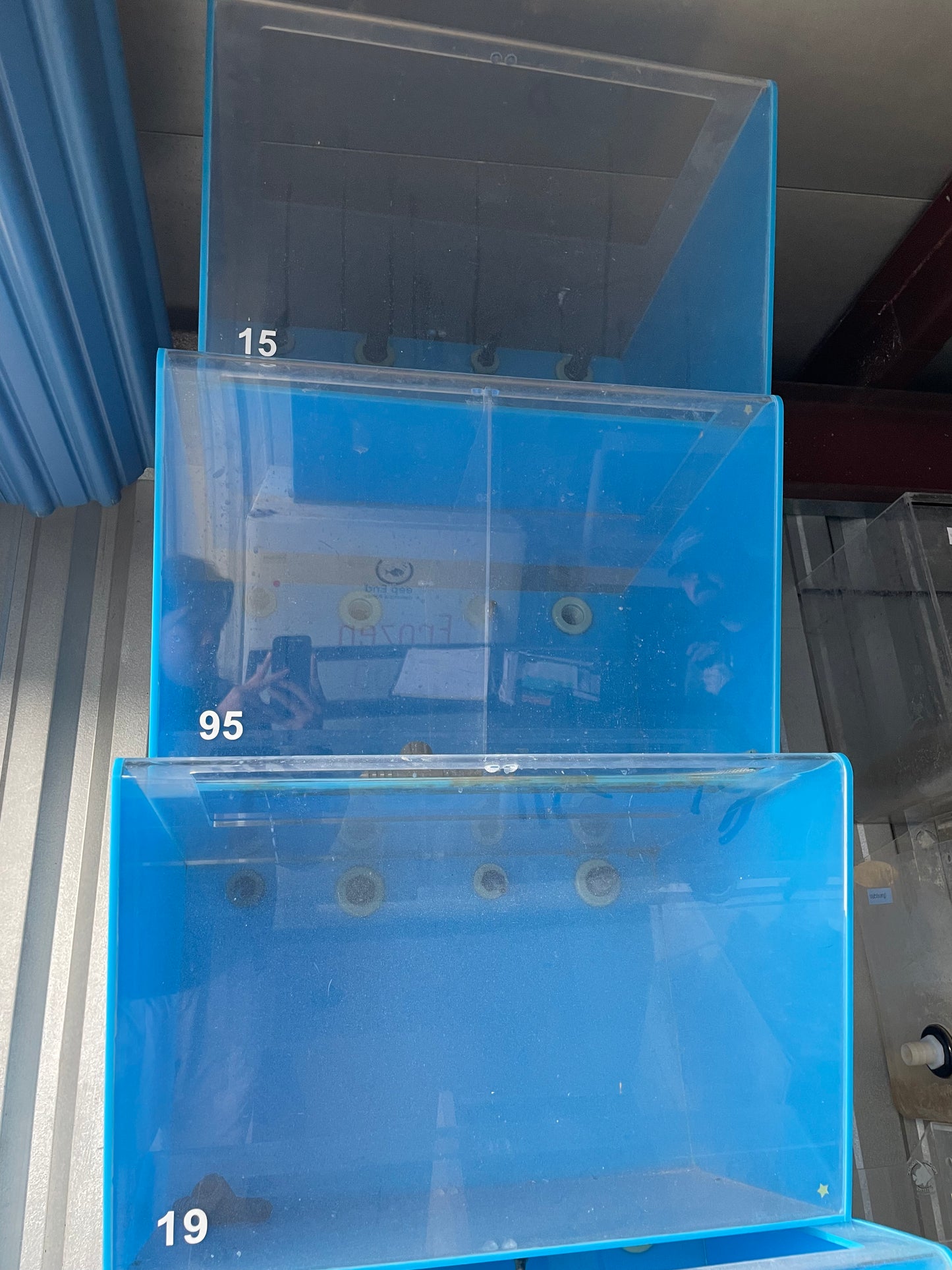 USED - Blue Display Fish & Coral Tanks