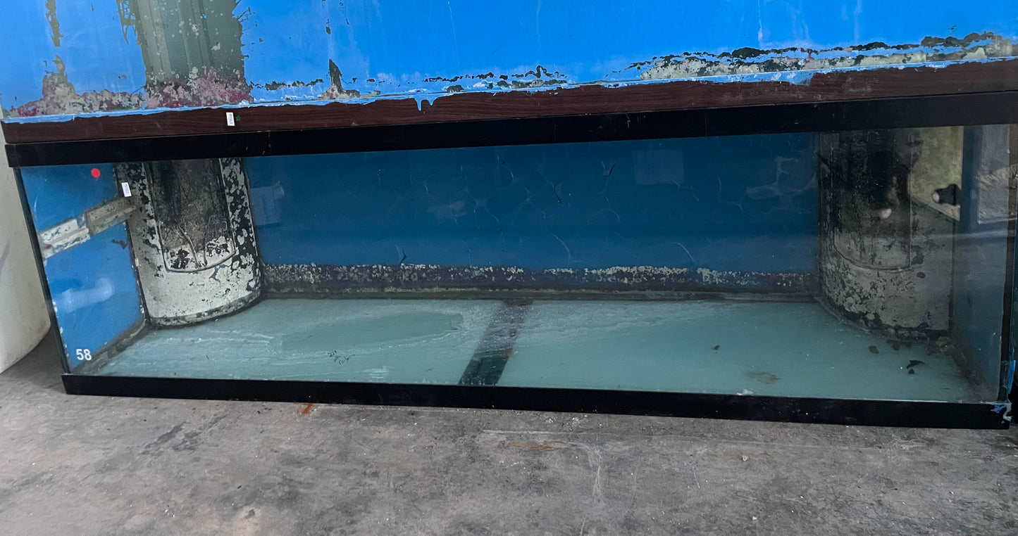 USED- 125 gallon tanks – Richmond Aquarium