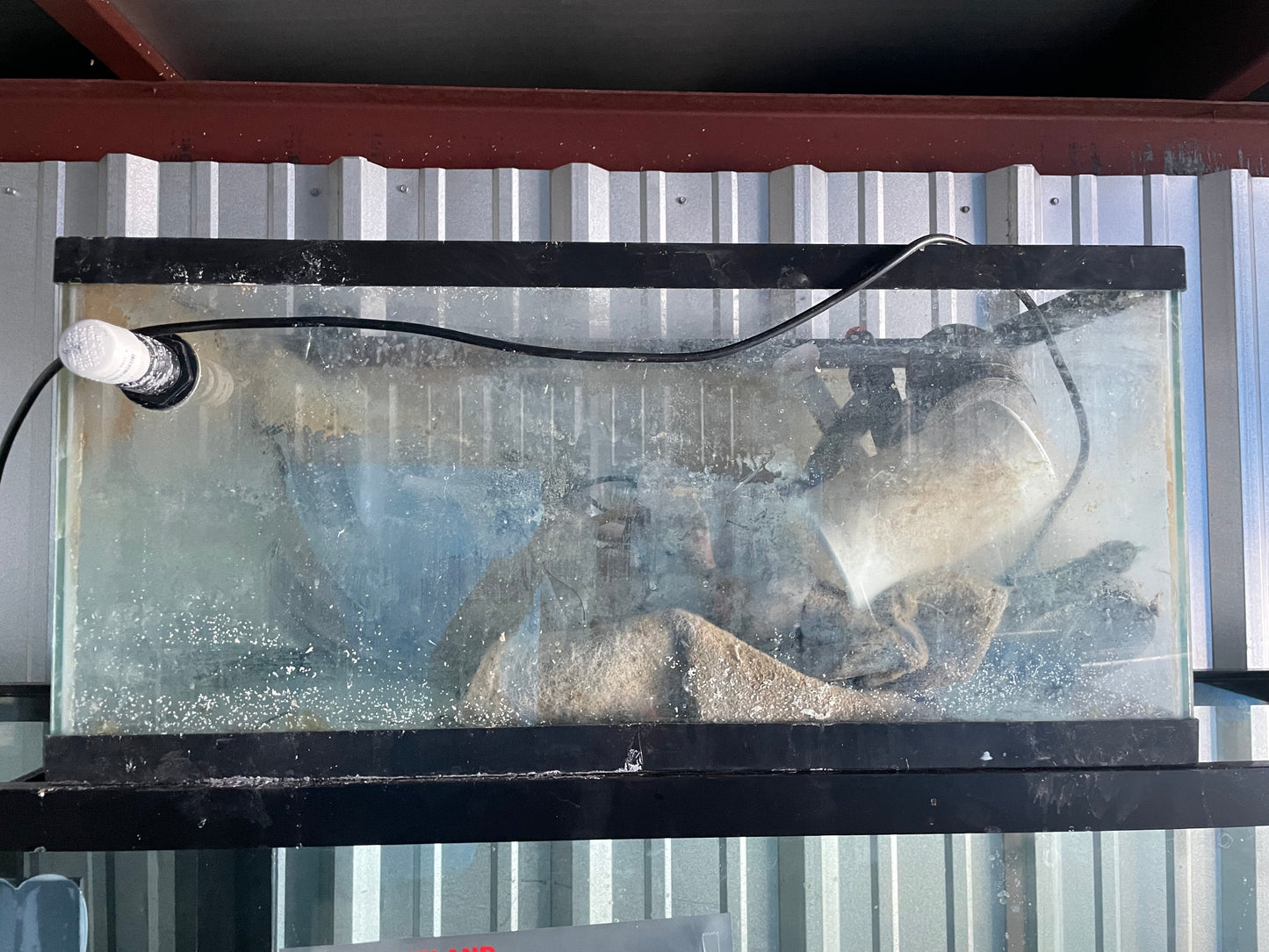 USED- 40 gallon tank