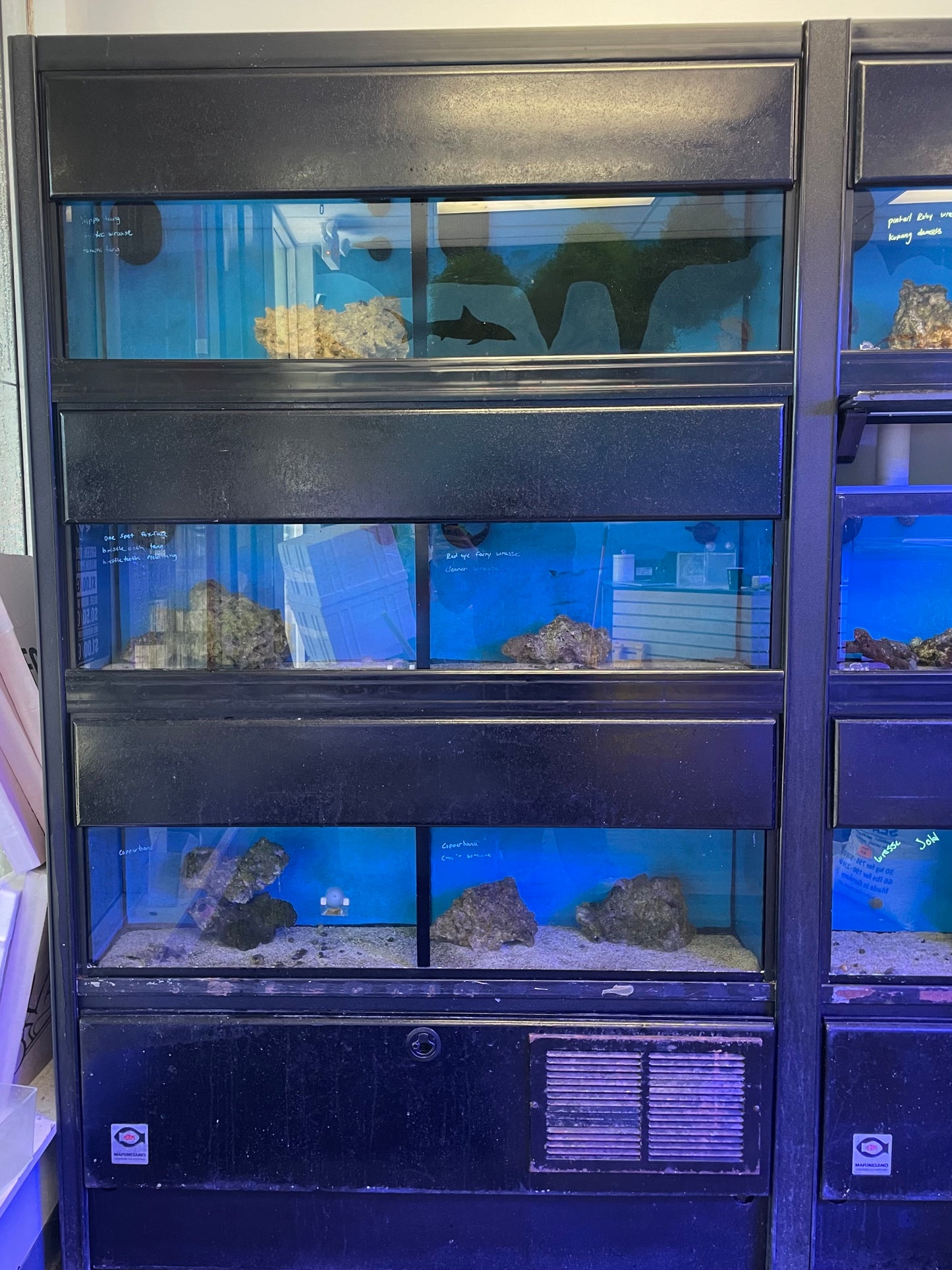 USED- Marineland Single Fish Wall (3 units)