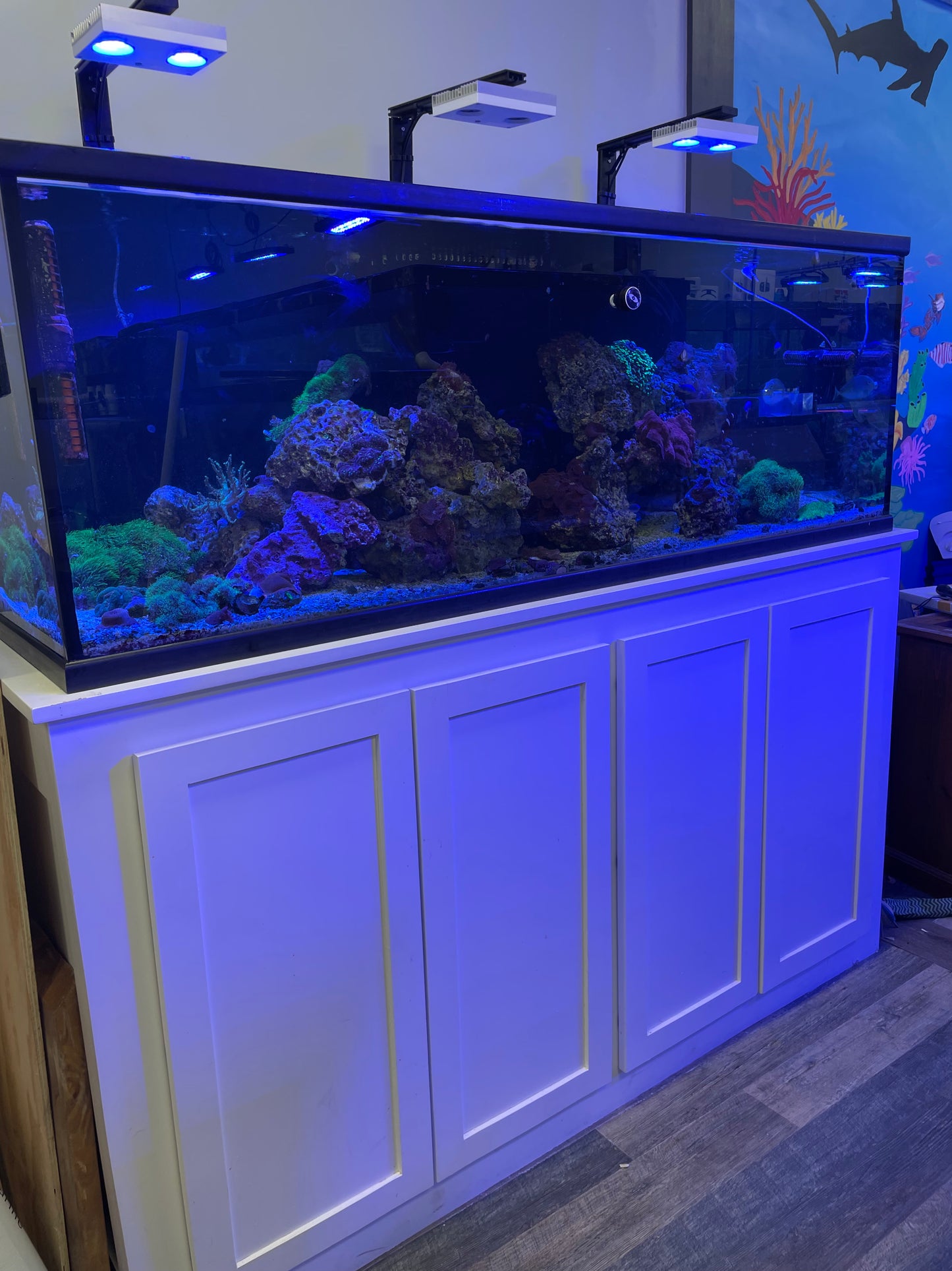 USED- Planet Aquariums 185 full set up