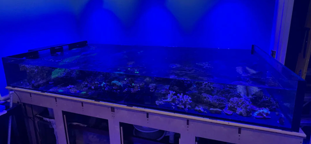 USED- 4x8ft Aquarium Tank