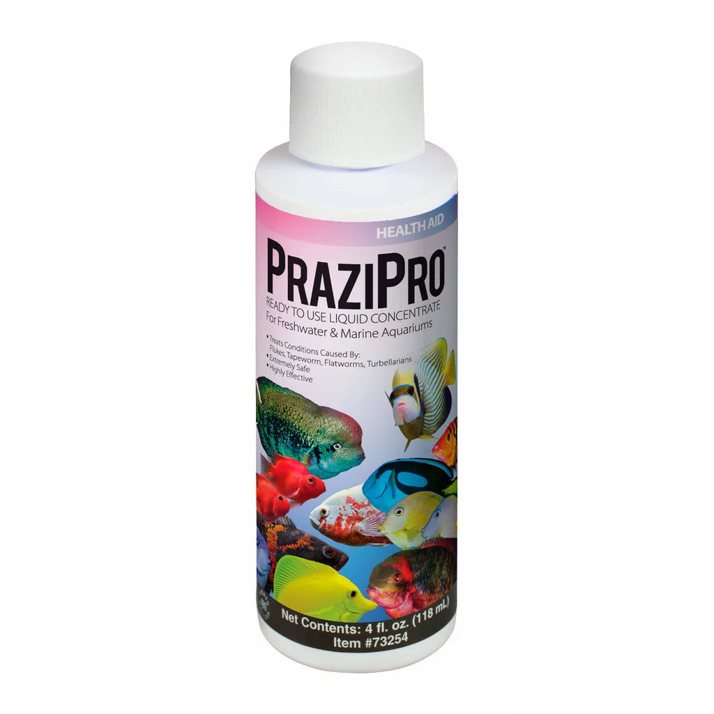 Hikari Prazipro 4oz