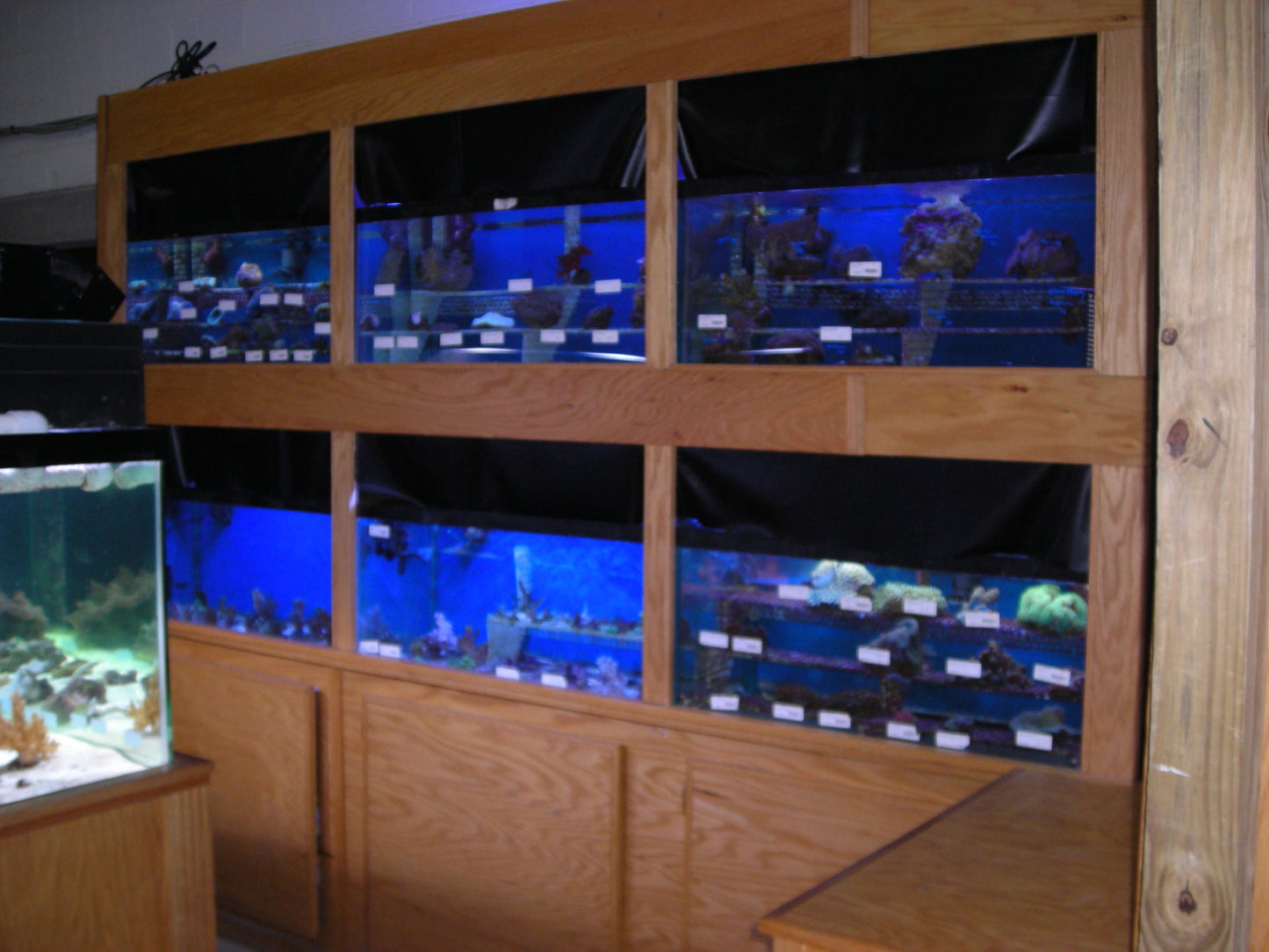 Used- 40G Breeder Drilled Aquaculture Tanks