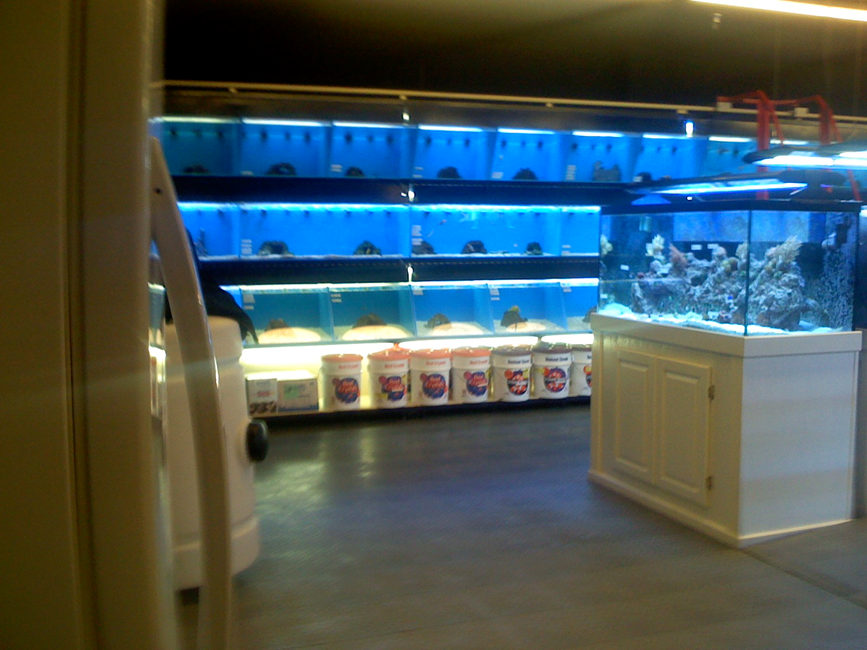 USED - Blue Display Fish & Coral Tanks