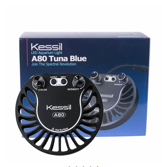 Kessil A80 Tuna Blue