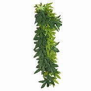 Reptile Treasures Leafy Green Plants 24"