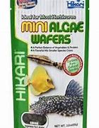 Hikari Mini Algae Wafers 3.0oz
