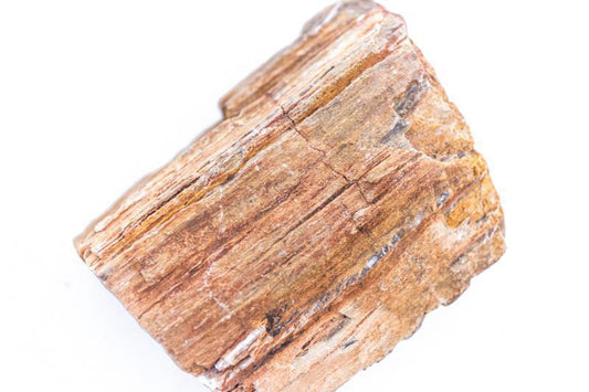 Este Petrified Wood Per Pound