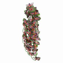 Reptile Treasures Red Angel Plant 24"