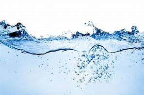 Fresh Water Half Gallon